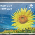 葉月