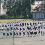 31