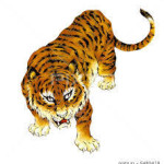 yjimage2