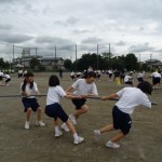 ６