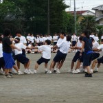 １５