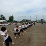 綱引き