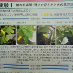 実験１