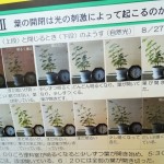 実験3