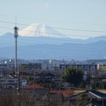 元旦富士２