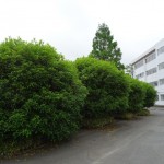 使用前２