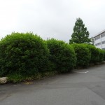使用前１