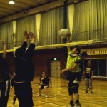 DSC02951