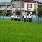 水田