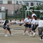 IMG_6456