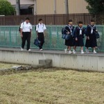 稲刈り２
