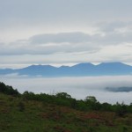 DSCN7914