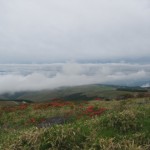 IMG_1369