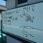 DSC06352