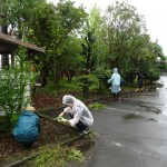 DSC06530