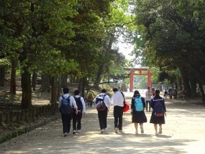DSC00035