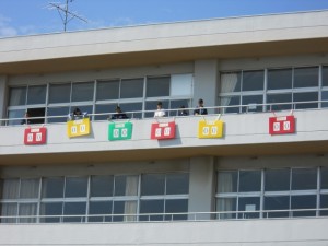 DSCN6145