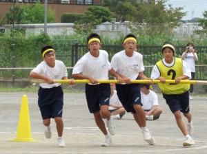 28064640_Unknown