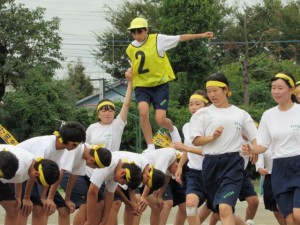 28064784_Unknown