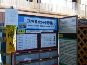 DSCN6165