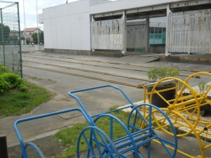 DSCN6181