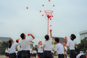 DSC_4540 (2)