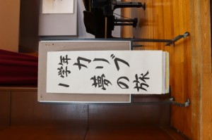 IMG_4237