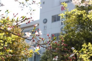 IMG_4874