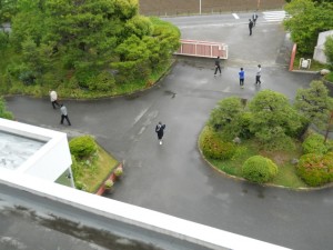 DSCN6838