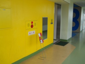 DSCN6869