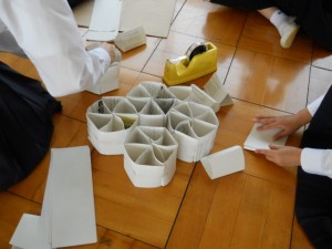 DSCN6957