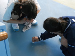 DSCN7028