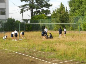 DSCN7175