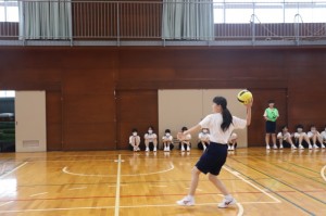 IMG_9029