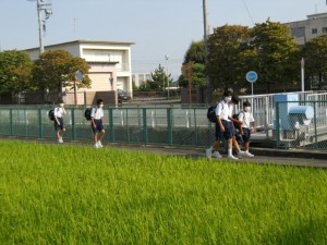 DSCN7625