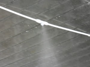 DSCN7637