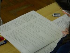 DSCN7987
