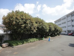 DSC00391