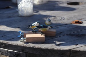 7 IMG_1832