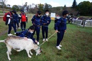 9 DSC09704