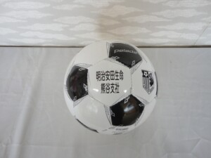 DSC02384
