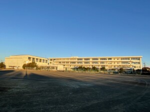 IMG_4185