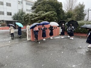 IMG_4245