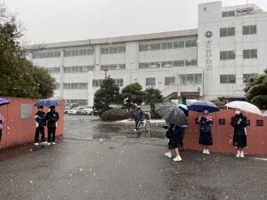IMG_4248