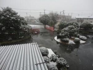 DSC03325