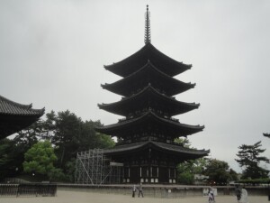 19DSC05705