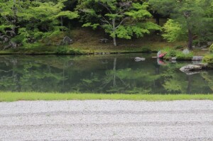 22IMG_7149