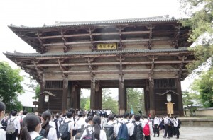 7IMGP0708