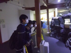 10 IMGP7624