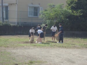 DSC08799